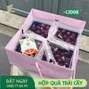 M119 Hộp Quà Trái Cây
