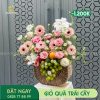 M122 Giỏ Quà Trái Cây