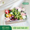 M139 Hộp Quà Trái Cây