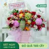 M147 Giỏ Quà Trái Cây