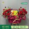 M159 Giỏ Quà Trái Cây